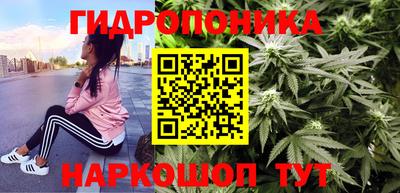 сатива Кунгур
