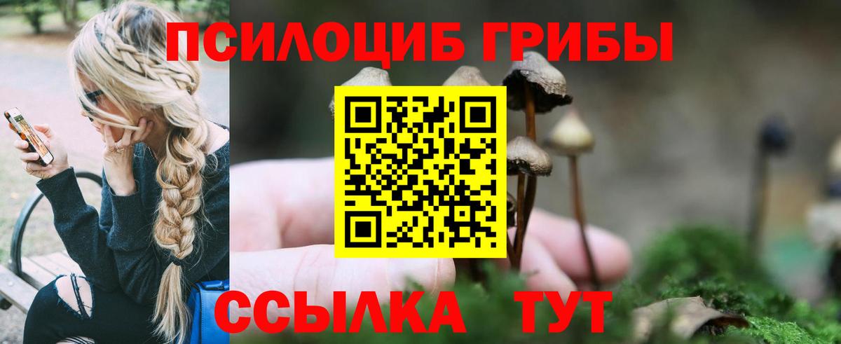 Галлюциногенные грибы мицелий Электросталь